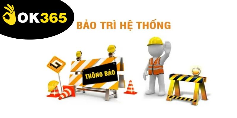 Người chơi quan tâm thời gian Ok365 bảo trì có thể ảnh hưởng đến việc cá cược